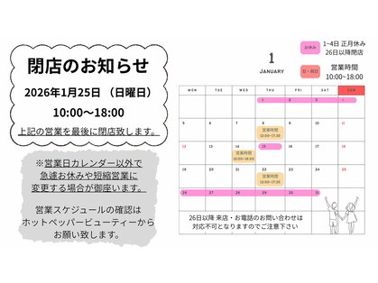 リノ(Lino)の写真