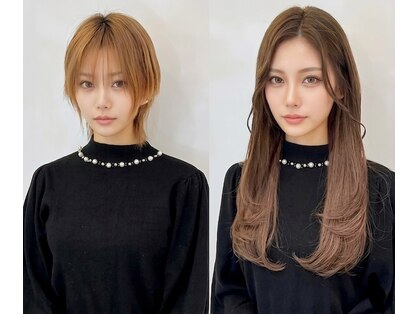 アイリス(iRIS)の写真