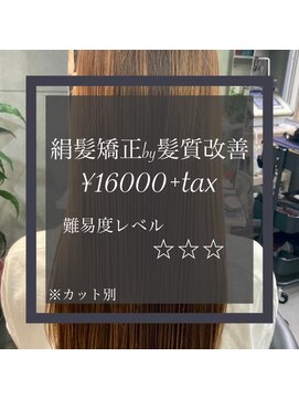 ヴィオラスバイポッシュ ギンザ(Violus by Posh GINZA) 絹髪矯正by髪質改善