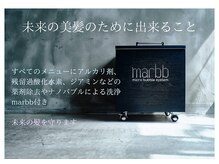 アウラ(Aura)の雰囲気（全てmarbb 付き/髪のイオンバランスを整え素髪に戻します）