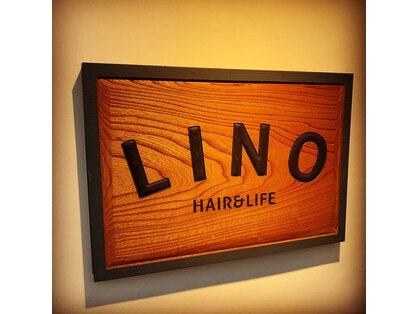 リノ(LINO)の写真