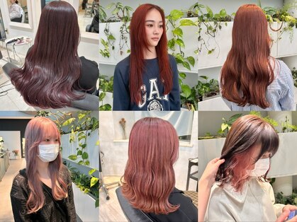 フリッカ(Flicka)の写真