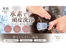 リズ(Liz)の雰囲気（水素の力で頭皮の酸化ストレスをケア頭皮の環境を整える）