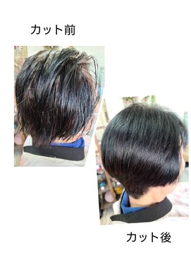 パピー ショートボブ