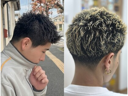コージー(cozy)の写真