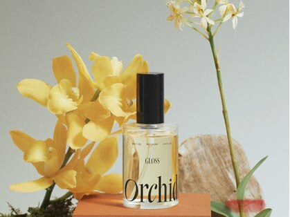 エンチャンテッド 天神大名(enchanted...)の写真