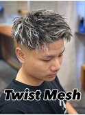 ツイスト×メッシュ