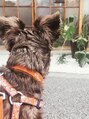 カリン 横浜店(carin) 愛犬と朝の散歩で立寄るパン屋さん♪【横浜/髪質改善/イルミナ】