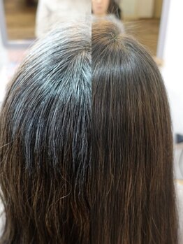 マイフ(Maif)の写真/天然ヘナ100％で白髪を自然にカバー。続けるほど指通りなめらかで艶のある髪へ。