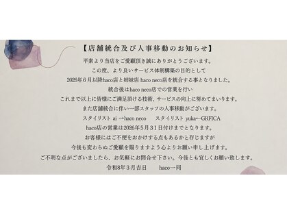 ハコ(haco)の写真