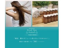 ロゴヘアー(LOGO)の雰囲気（席数1席のみ、ゆったりとくつろげる空間を目指してます！！）