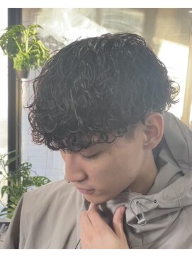 ジャップ(Jap) 波巻きプードル