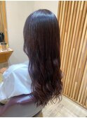 【Terrace】ラベンダーピンク