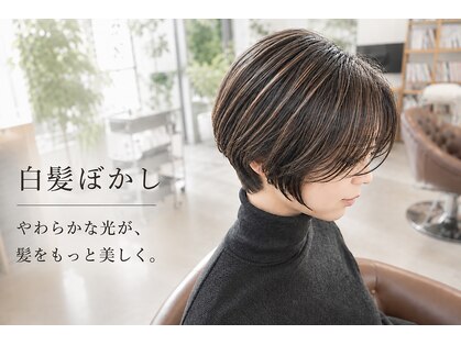 ビハインドザカーテン(BEHIND THE CURTAIN)の写真