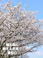 シャルシェ(Chercher)&nbsp;あっと驚く輝く映えCOLOR