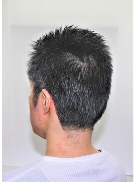 エルム ショートヘアー