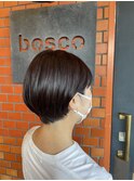 ショートポニーテール　《koike》