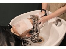 極上癒しアロマヘッドスパ☆ドライスパでは絶対に味わえない!サロンだから体感できるスパ体験[渋谷駅/渋谷]