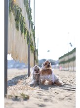 ベック(BECK) HIROMI