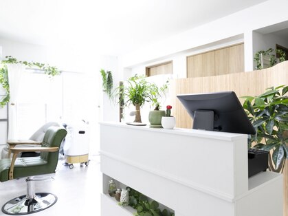 hair&spa teresaの写真