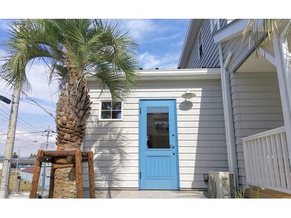 フィーロ(filo)の写真