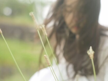 ジル(dill)の写真