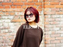 エライトランドマーク(ELIGHT LM)