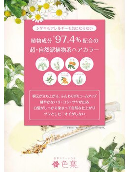 デリッシュヘアーの写真/【三原◇宮浦お宝探偵団となり】しみる・痛むをあきらめないで、ほぼ97.4％植物成分で出来たハーブカラー