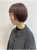 マッシュボブ/アプリコット