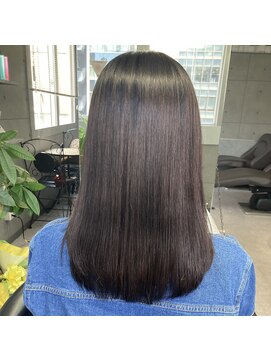 ヴィオラスバイポッシュ ギンザ(Violus by Posh GINZA) 髪質改善byサブリミック（酸熱トリートメント）