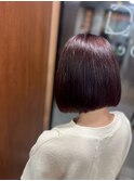 ダークレッド×艶感エンドカラーの上品ボブ（髪質改善）