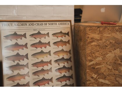 リファニー(lifunny)の写真