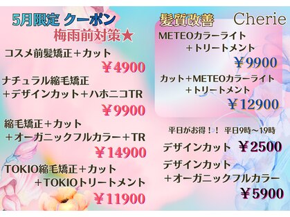 シェリー(Cherie)の写真