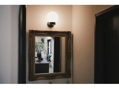 シカ(sika)の写真
