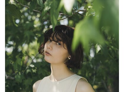 シー(si)の写真