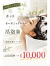 【人気】カット+オーガニックカラー+活泡泉¥10500→¥10000~