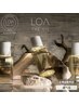 【LOA THE OIL付き】カット+カラー+ロア オイル付き ￥11,000[新宿/新宿駅]