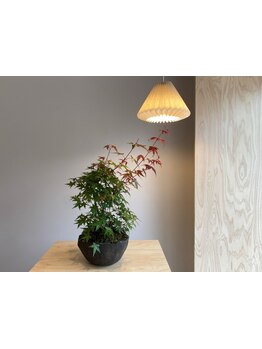 髪質・骨格に合わせ再現性にこだわりカット。自宅でのヘアセットが楽になるように丁寧にアドバイス◎