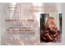 エルベ 千波店(elve)の雰囲気（ブリーチなしダブルカラーで透明感×サラツヤ美髪 <ハイライト> ）