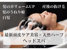 巡華