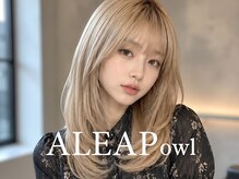 アリープアウル(ALEAP owl)