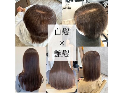 シキ(C key)の写真