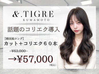 アンド ティグル クマモト(&.TIGRE KUMAMOTO)の写真