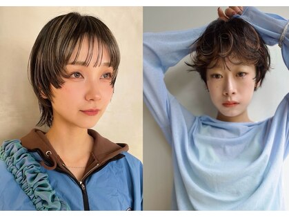 アオイ(aoi.)の写真