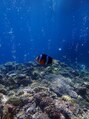 テルヴェ 瑞穂区 桜山(Terve.) 旅行大好きです!ダイビングで撮った写真!いいニモ撮れました!
