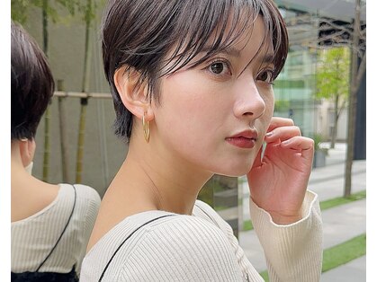 シウ 天王台(shiwu)の写真
