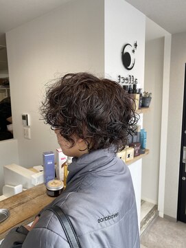 アフェクト 上大岡(affect) ウルフ/アッシュブラック/カルマパーマ/ベリーショート/上大岡