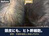 【頭皮に幹細胞】極上ヘッドスパ★ヒト臍帯・羊膜幹細胞上清液Lumeaルメア