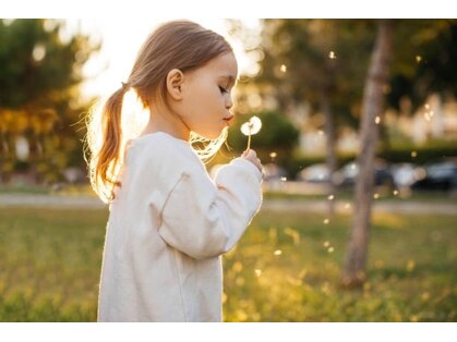 ボリューム(VOLUME)の写真