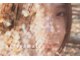 アーティザナル ニノミヤ(artisanale)の写真
